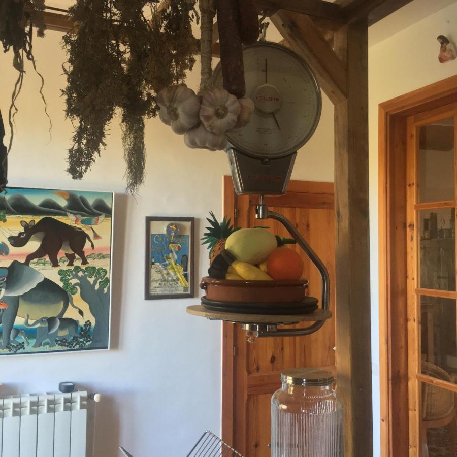VI L'Art Wine Lodge - Only Adults Piera 外观 照片